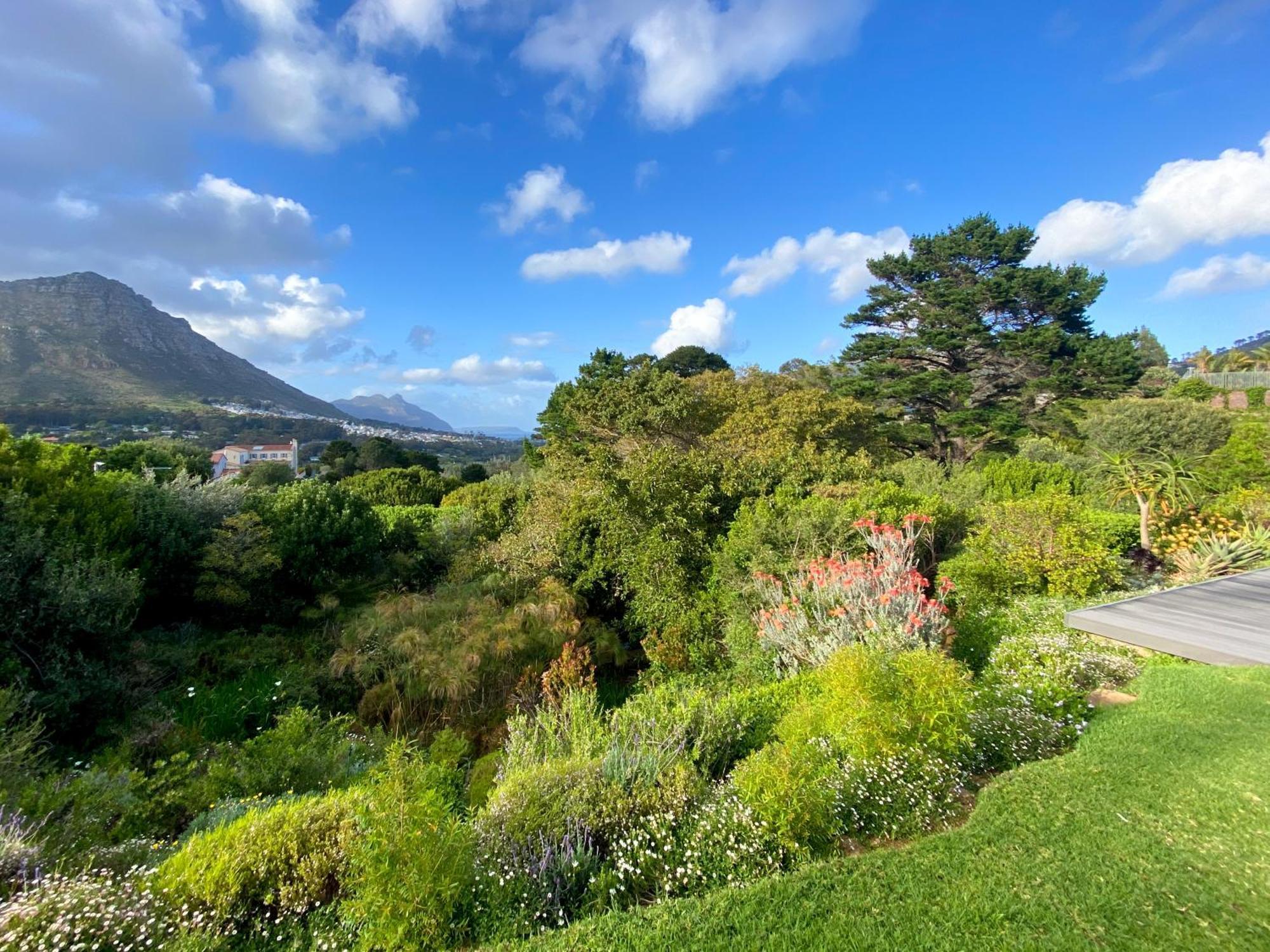 Luxe Family Home With Solar Power In Secure Hout Bay Estate Cape Town Exterior photo